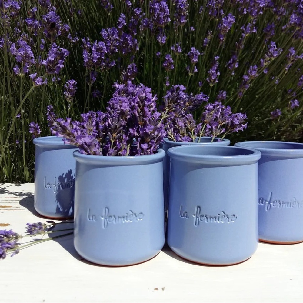 Set of 6 French La Femiere Lavender Blue Yogurt Pots/Jars